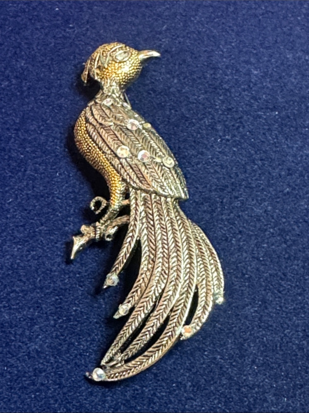 VTG textured bird of paradise accented w/clear rhinestones brooch
